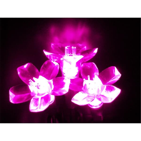 Giftgear Kellogg Plastics 075 in Holiday Christmas Indoor Outdoor LED Pink GI341289 - main